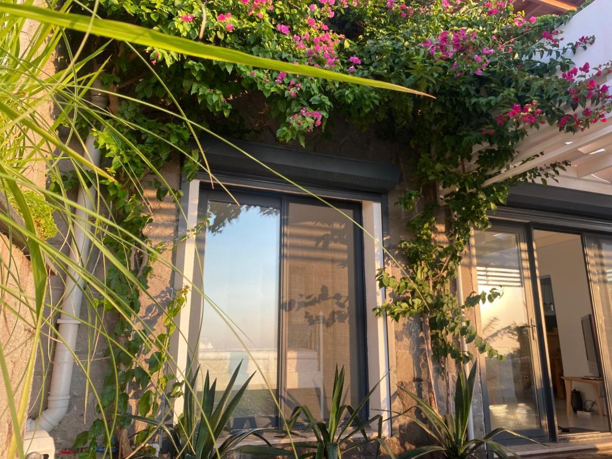 Villa Aleph-Kiralik Muestakil Havuzlu Luex Villa بودروم المظهر الخارجي الصورة
